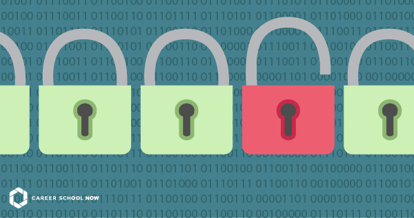 Cybersecurity Professional Career Guide