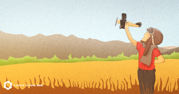 Aviation Careers Guide: Pilot and Flight Attendant