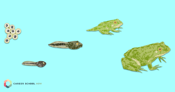 Biology Education & Careers Guide - Career School Now