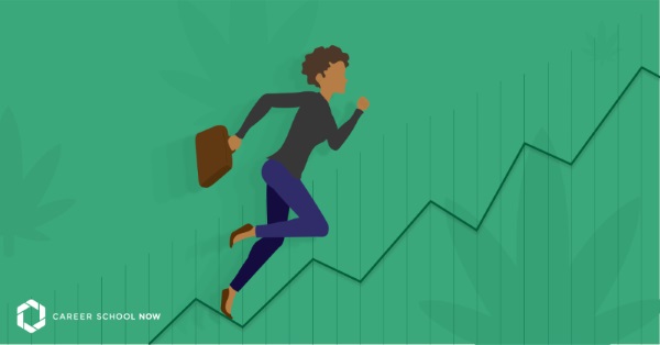 Careers You Can Get in the Cannabis Industry (2018 Data)